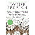 The Last Report on the Miracles at Little No Horse