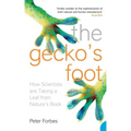 The Gecko's Foot: How Scientists are Taking a Leaf from Nature's Book