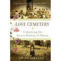 Love Cemetery: Unburying the Secret History of Slaves