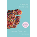 A Million Little Lies